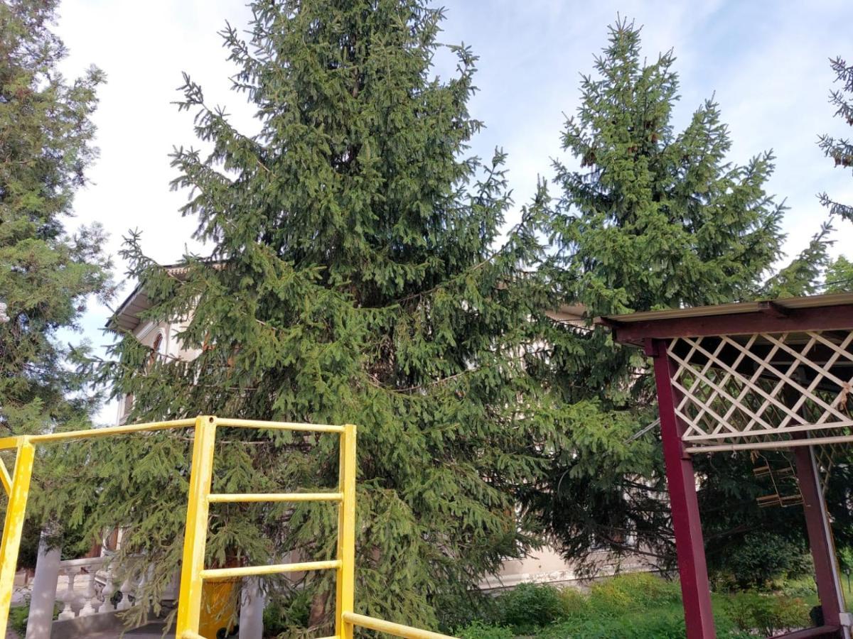 ASSEM HOSTEL Almatı Dış mekan fotoğraf